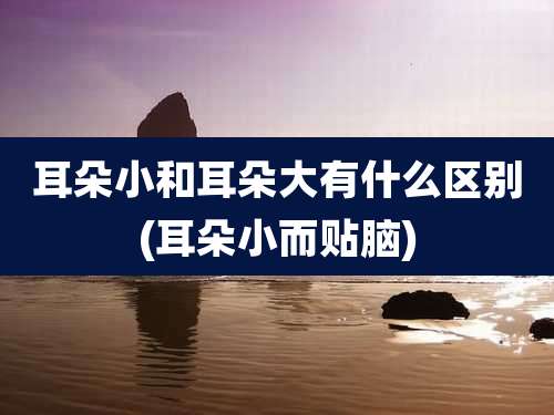 耳朵小和耳朵大有什么区别(耳朵小而贴脑)