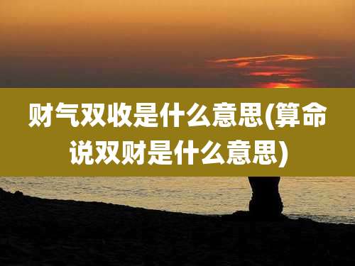 财气双收是什么意思(算命说双财是什么意思)