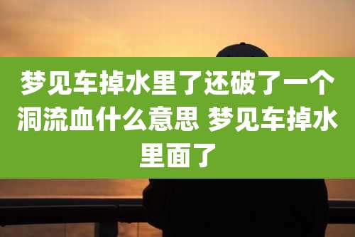梦见车掉水里了还破了一个洞流血什么意思 梦见车掉水里面了