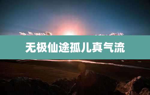 无极仙途孤儿真气流