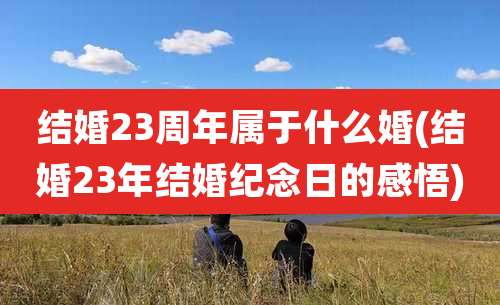 结婚23周年属于什么婚(结婚23年结婚纪念日的感悟)
