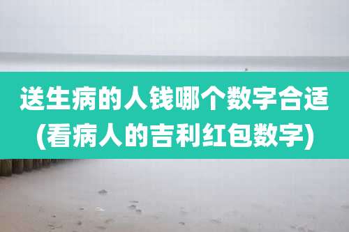 送生病的人钱哪个数字合适(看病人的吉利红包数字)