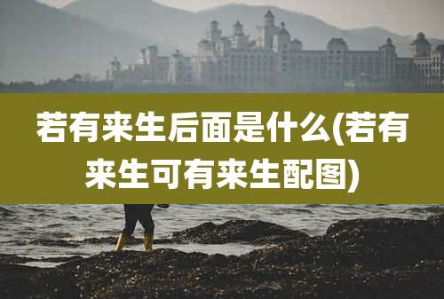若有来生后面是什么(若有来生可有来生配图)