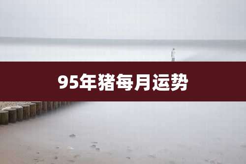 95年猪每月运势