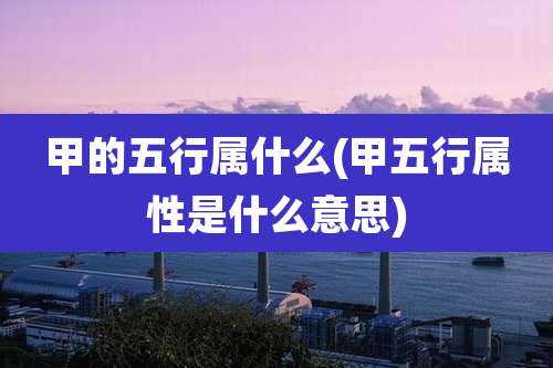 甲的五行属什么(甲五行属性是什么意思)