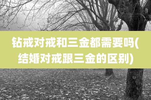 钻戒对戒和三金都需要吗(结婚对戒跟三金的区别)