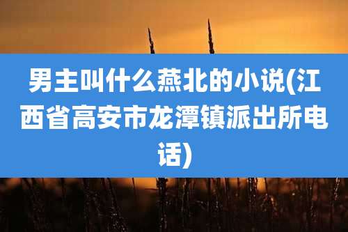 男主叫什么燕北的小说(江西省高安市龙潭镇派出所电话)