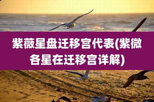 紫薇星盘迁移宫代表(紫微各星在迁移宫详解)