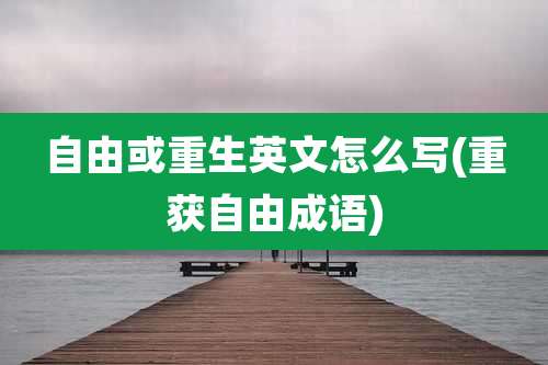 自由或重生英文怎么写(重获自由成语)