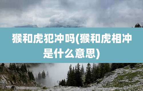 猴和虎犯冲吗(猴和虎相冲是什么意思)