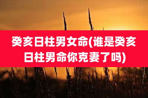 癸亥日柱男女命(谁是癸亥日柱男命你克妻了吗)