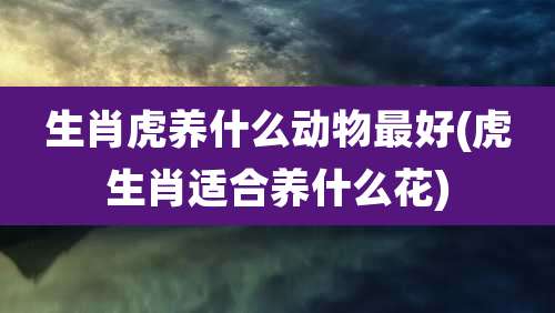 生肖虎养什么动物最好(虎生肖适合养什么花)