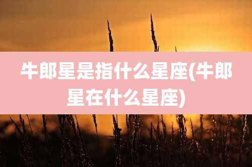 牛郎星是指什么星座(牛郎星在什么星座)