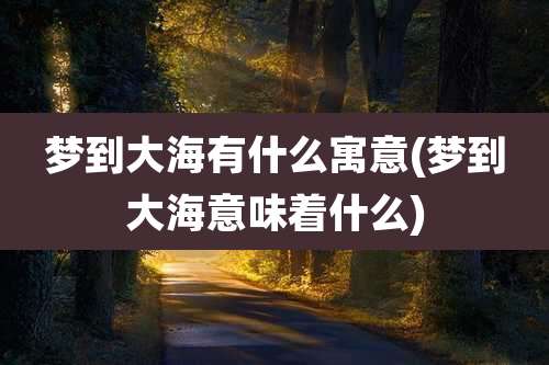 梦到大海有什么寓意(梦到大海意味着什么)