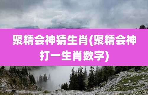 聚精会神猜生肖(聚精会神打一生肖数字)