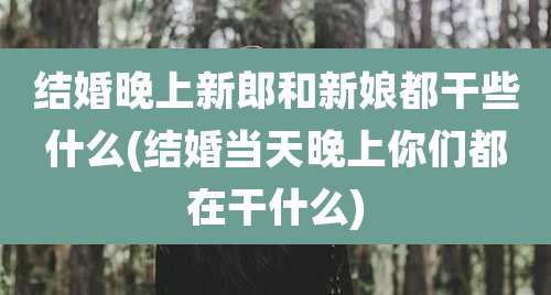 结婚晚上新郎和新娘都干些什么(结婚当天晚上你们都在干什么)