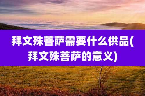 拜文殊菩萨需要什么供品(拜文殊菩萨的意义)