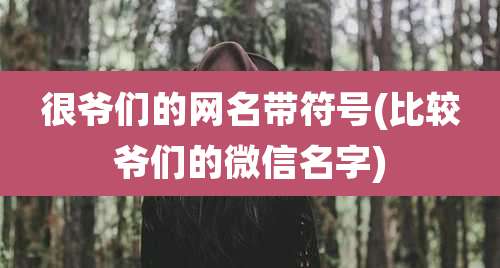 很爷们的网名带符号(比较爷们的微信名字)