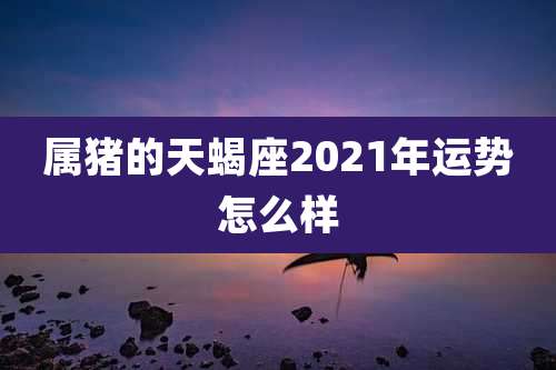 属猪的天蝎座2021年运势怎么样