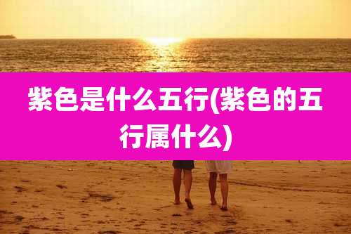 紫色是什么五行(紫色的五行属什么)