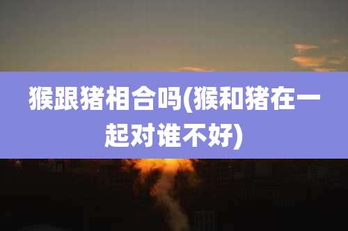 猴跟猪相合吗(猴和猪在一起对谁不好)