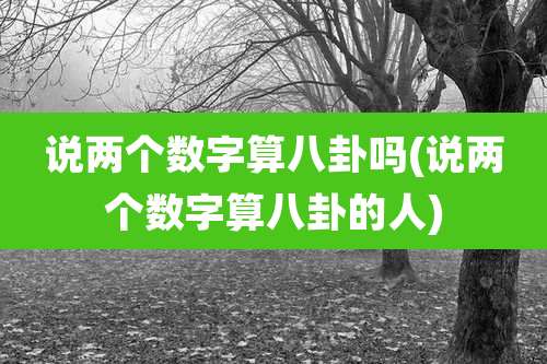 说两个数字算八卦吗(说两个数字算八卦的人)