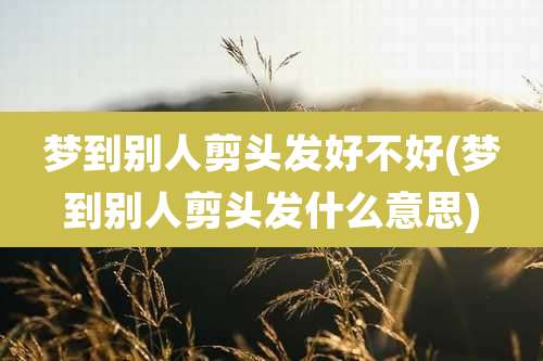 梦到别人剪头发好不好(梦到别人剪头发什么意思)