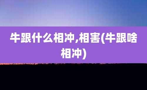 牛跟什么相冲,相害(牛跟啥相冲)