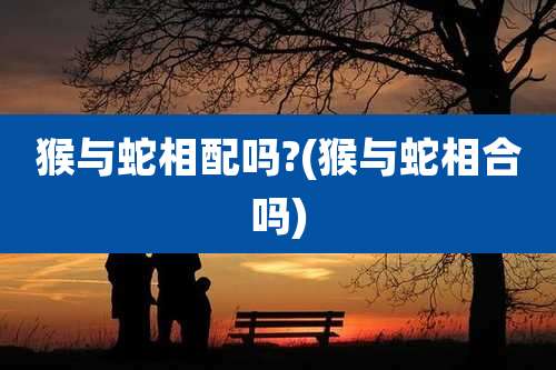 猴与蛇相配吗?(猴与蛇相合吗)