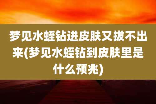 梦见水蛭钻进皮肤又拔不出来(梦见水蛭钻到皮肤里是什么预兆)