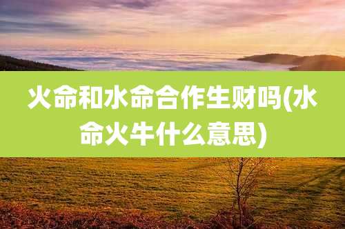 火命和水命合作生财吗(水命火牛什么意思)