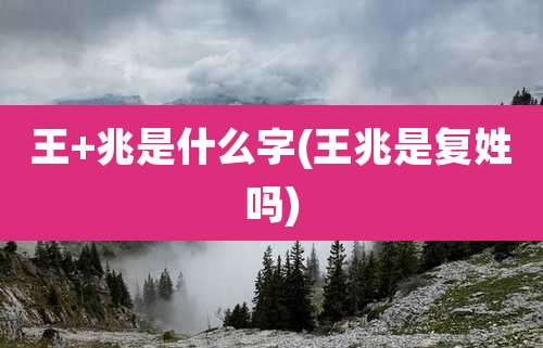 王+兆是什么字(王兆是复姓吗)