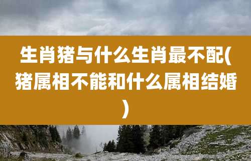 生肖猪与什么生肖最不配(猪属相不能和什么属相结婚)