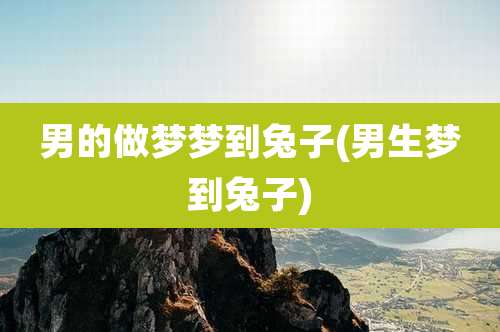 男的做梦梦到兔子(男生梦到兔子)