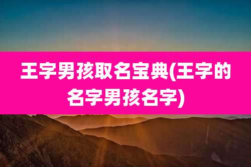 王字男孩取名宝典(王字的名字男孩名字)