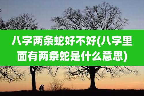 八字两条蛇好不好(八字里面有两条蛇是什么意思)