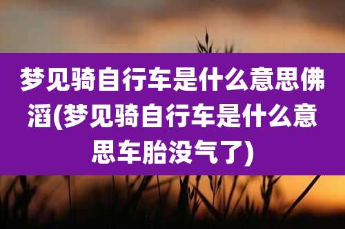 梦见骑自行车是什么意思佛滔(梦见骑自行车是什么意思车胎没气了)
