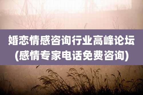 婚恋情感咨询行业高峰论坛(感情专家电话免费咨询)