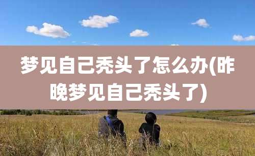 梦见自己秃头了怎么办(昨晚梦见自己秃头了)