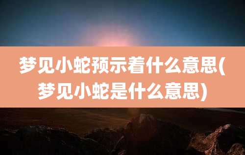 梦见小蛇预示着什么意思(梦见小蛇是什么意思)
