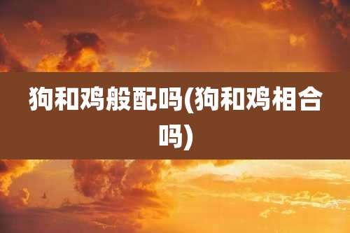 狗和鸡般配吗(狗和鸡相合吗)