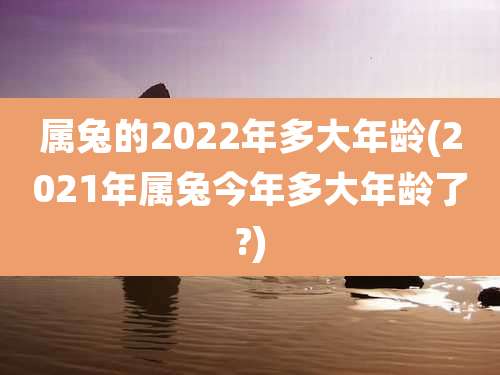 属兔的2022年多大年龄(2021年属兔今年多大年龄了?)