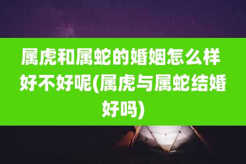 属虎和属蛇的婚姻怎么样 好不好呢(属虎与属蛇结婚好吗)