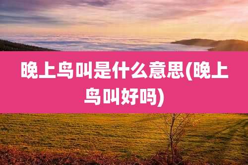 晚上鸟叫是什么意思(晚上鸟叫好吗)