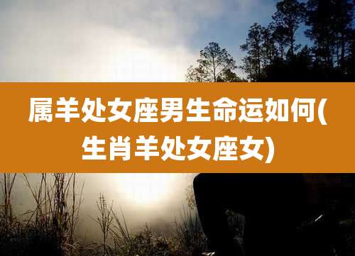 属羊处女座男生命运如何(生肖羊处女座女)