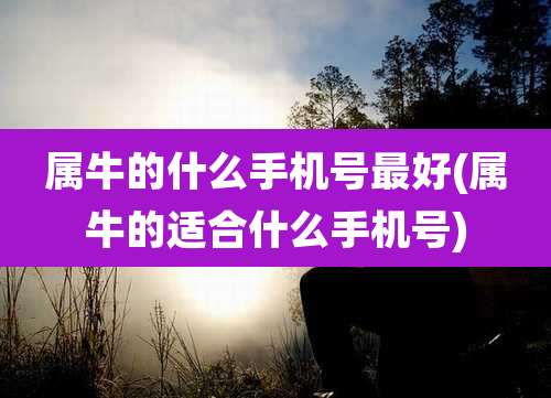 属牛的什么手机号最好(属牛的适合什么手机号)