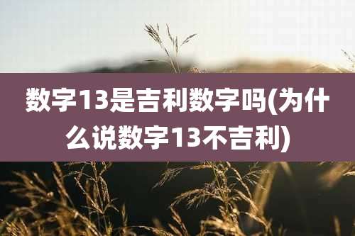 数字13是吉利数字吗(为什么说数字13不吉利)