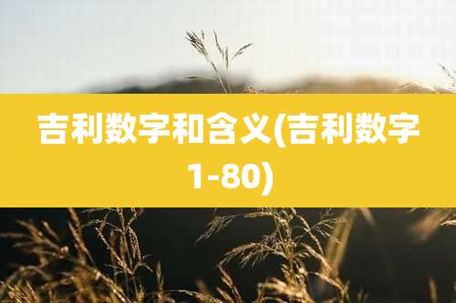 吉利数字和含义(吉利数字1-80)