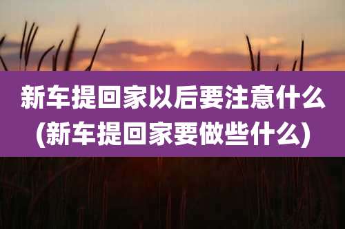新车提回家以后要注意什么(新车提回家要做些什么)