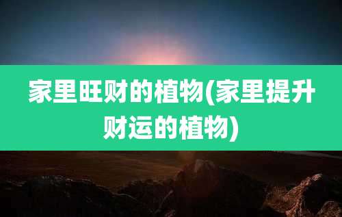 家里旺财的植物(家里提升财运的植物)